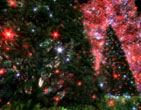 Christmas Wallpapers 152